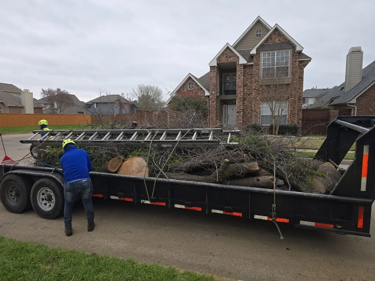 Expert Tree Removal with proper safety equipment in Smyrna
